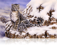514 Snow leopard & cub