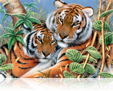 581 Tiger Tiger