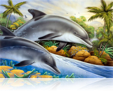 582 Dolphin island 