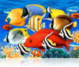 584 Coral Fish 