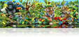 794 Jungle panorama