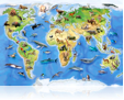 795 World Animal Atlas