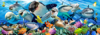 914 Undersea Selfie panorama