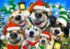 931 Selfie dogs Christmas