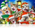 958 Selfie kitten Gifts