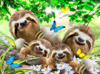 962 Sloth family Selfie