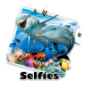 Dolphin selfie.jpg