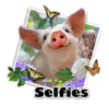 Piglets selfie.jpg