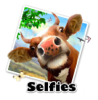 selfie cow.jpg