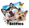 selfie dogs.jpg
