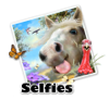 selfie horse.jpg
