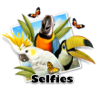 selfie parrots.jpg
